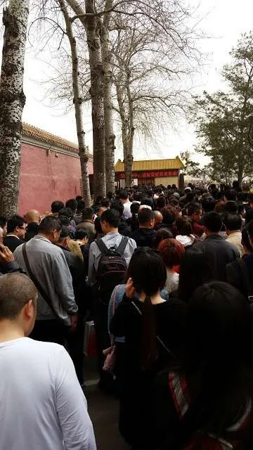 travelers teaching how to enjoy China
