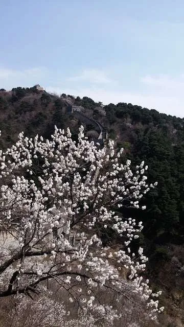 a trip and a walk on the Great Wall of China