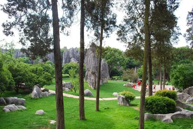 exploring the Stone Forest in Yunnan, China