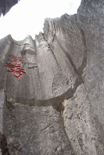 exploring the Stone Forest in Yunnan, China