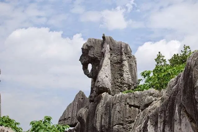 exploring the Stone Forest in Yunnan, China