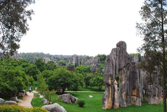 exploring the Stone Forest in Yunnan, China