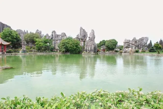 exploring the Stone Forest in Yunnan, China