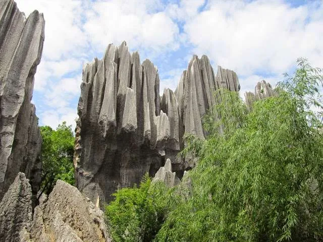 exploring the Stone Forest in Yunnan, China