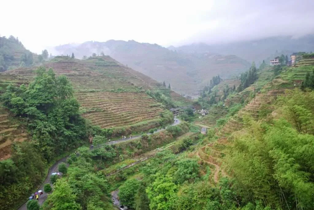 Longji Terraced Fields, China