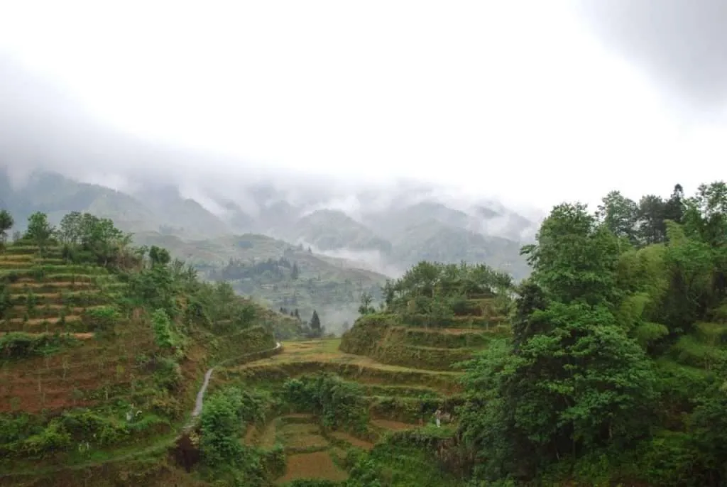 Longji Terraced Fields, China