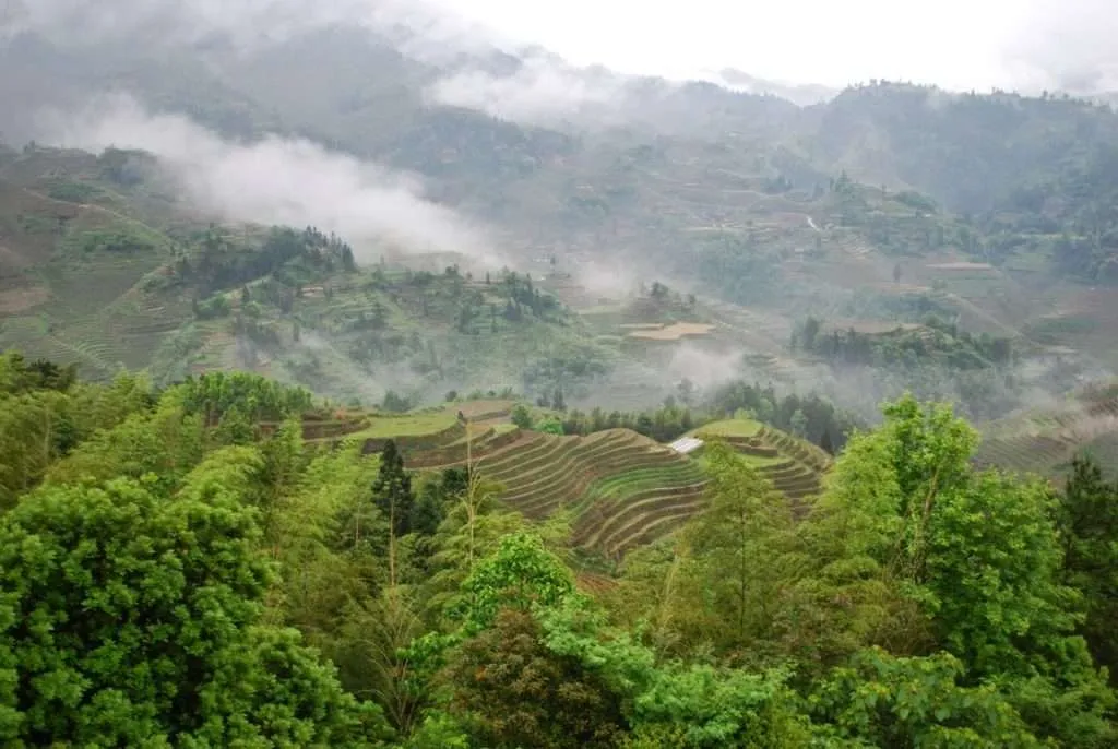 Longji Terraced Fields, China