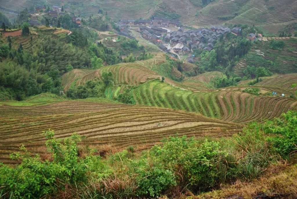 Longji Terraced Fields, China