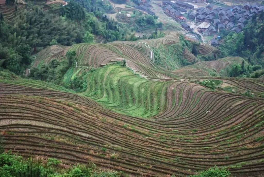 Longji Terraced Fields, China
