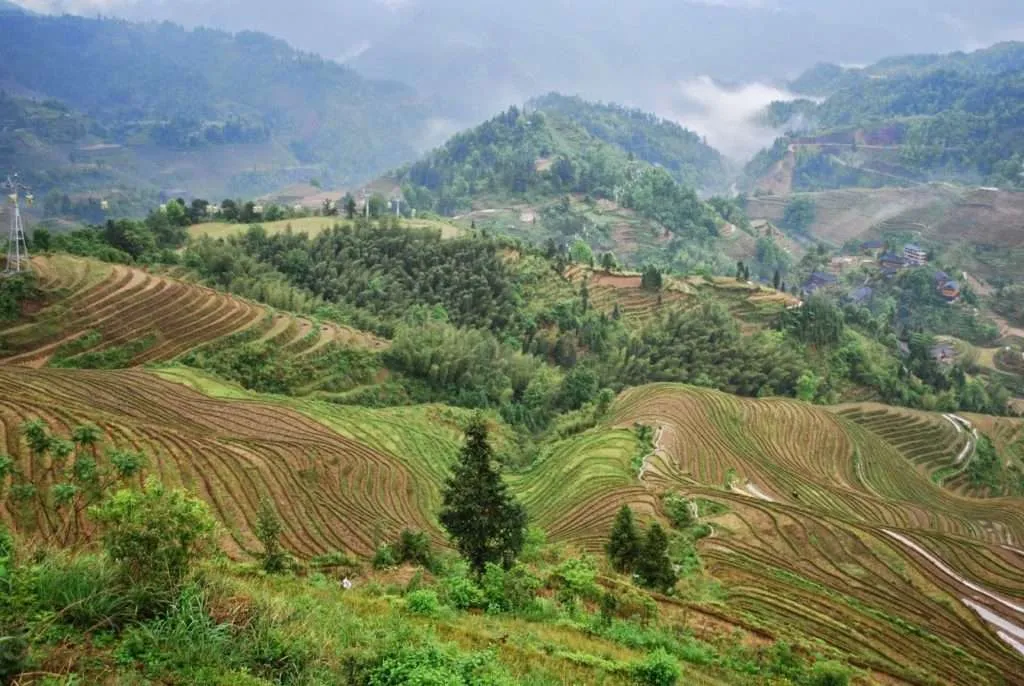 Longji Terraced Fields, China