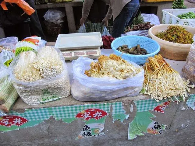 a trip through Yunnan province in China - old city of Dali