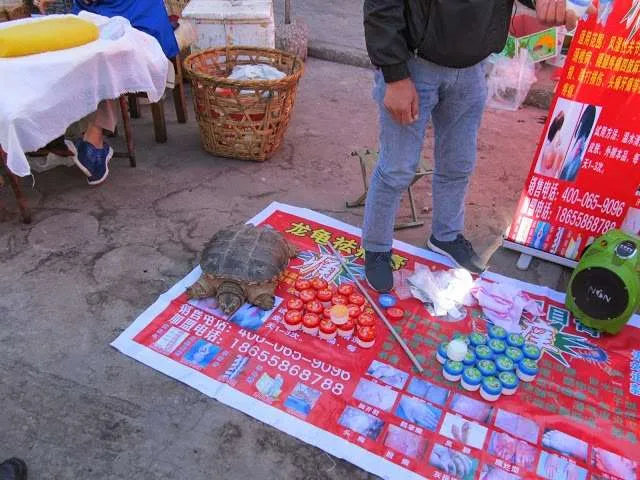 a trip through Yunnan province in China - old city of Dali