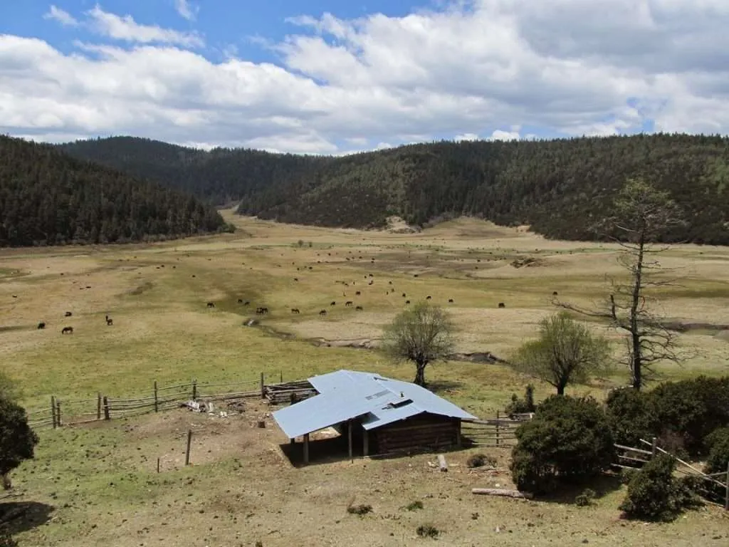 Pudacuo Scenic Area, Shangri-La, Zhongdian, China