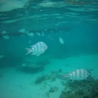 Mauritius - things to do on the island, at the beach, water activities, inland activities