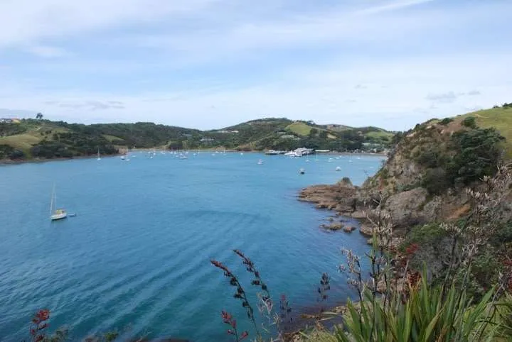 New Zealand North Island road trip itinerary, Waiheke Island