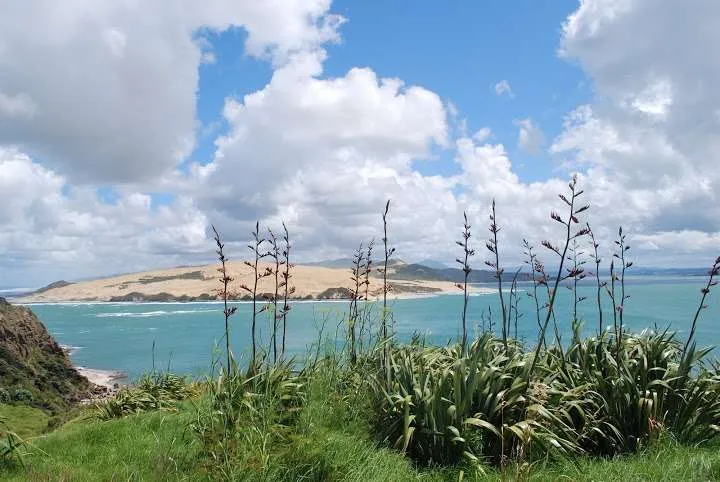 New Zealand North Island road trip itinerary, Rawene, Opononi, Tasman Sea, Kai Ivi lakes