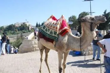 47 questions about Israel answered with photos