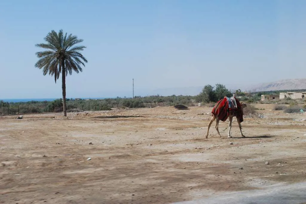 questions and answers with photos from our trip to Israel