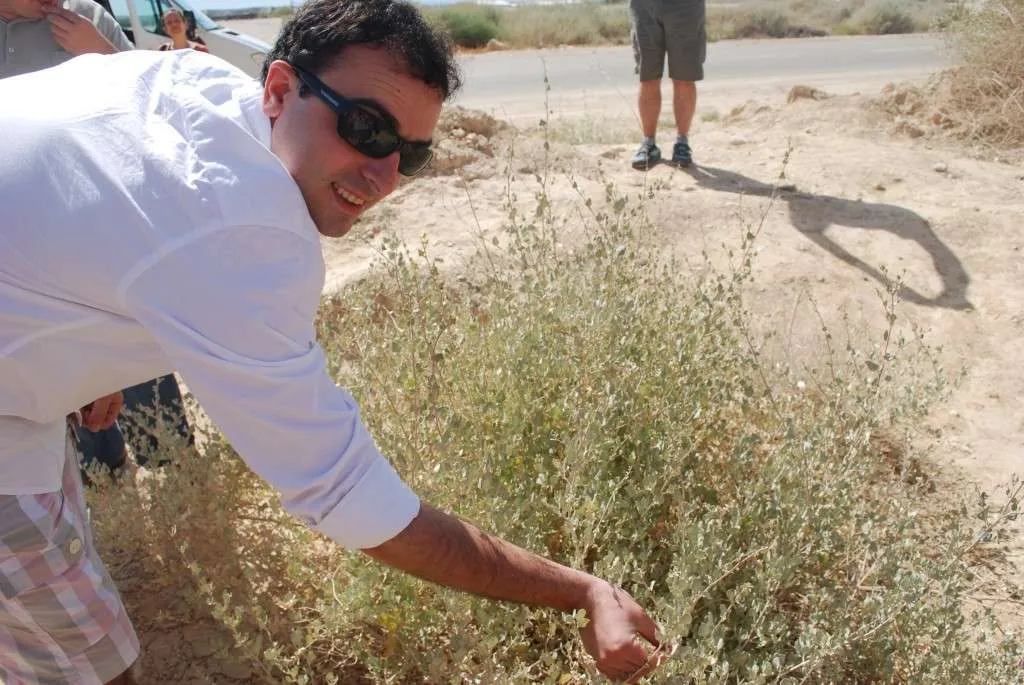 questions and answers with photos from our trip to Israel