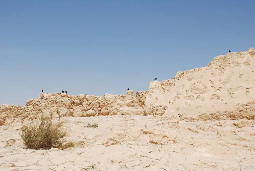 questions and answers with photos from our trip to Israel