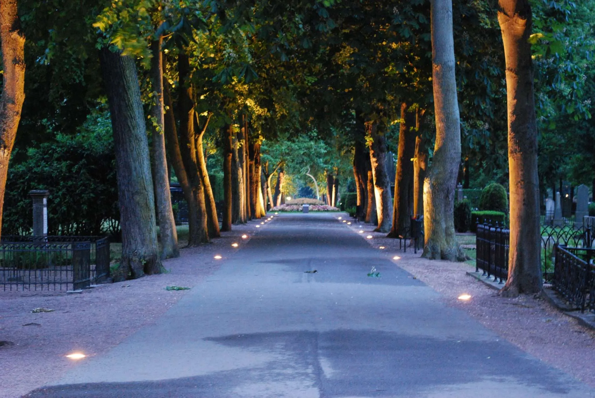 In the very center one can rarely see peacefulness - Malmö, Sweden