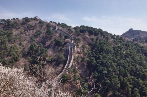 Social Sabbatical Beijing: How does volunteering in China look like?