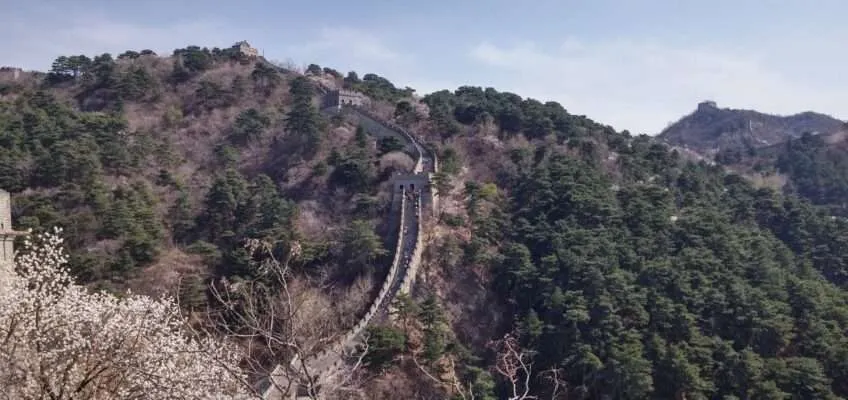 Social Sabbatical Beijing: How does volunteering in China look like?