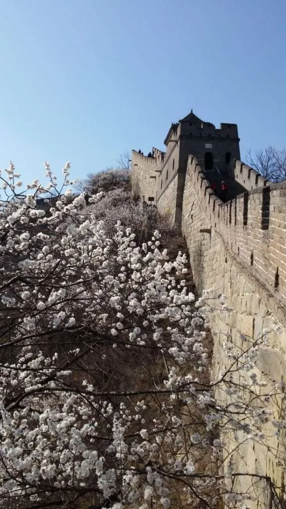 Blossom at the Mu Tian Yu part of the Great Wall