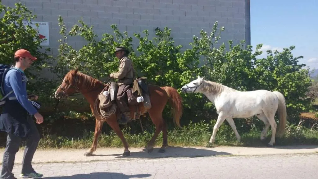 Horse on the Camino