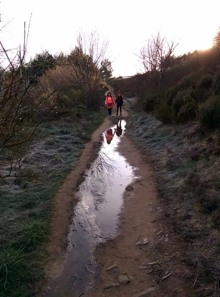 Obstacles along the Camino