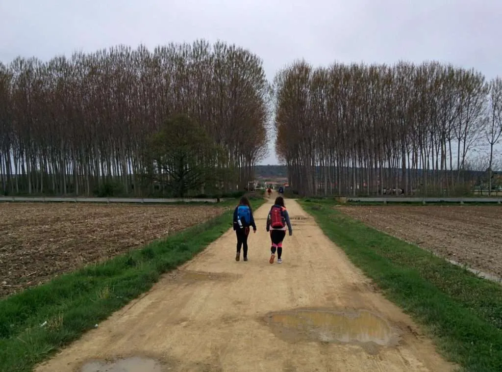 Camino de Santiago backpacks