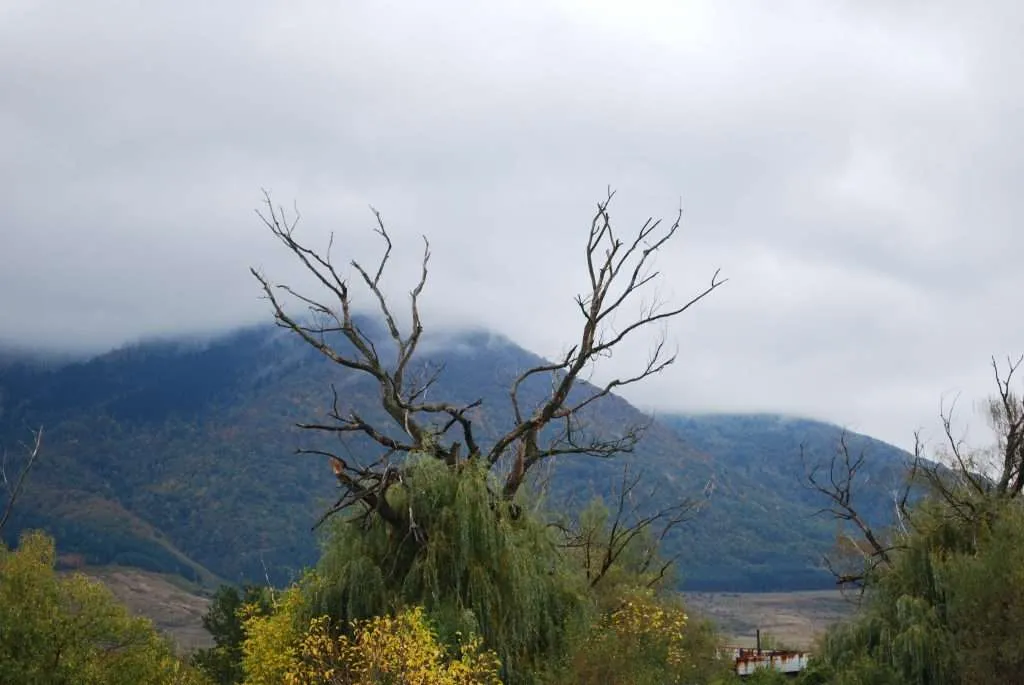 walking on the road from Dupnitsa to Rila Park in Bulgaria
