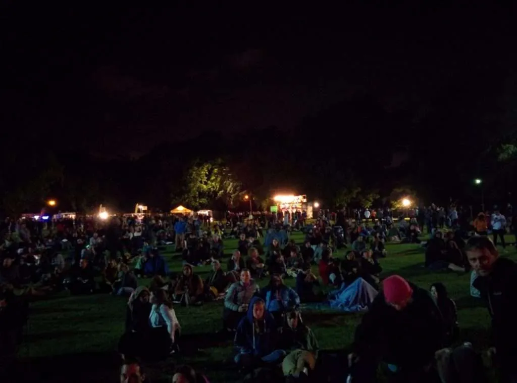 celebrating the New Year in New Zealand on a picnic in a park