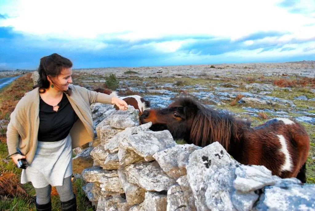 Ireland, Burren land, земя