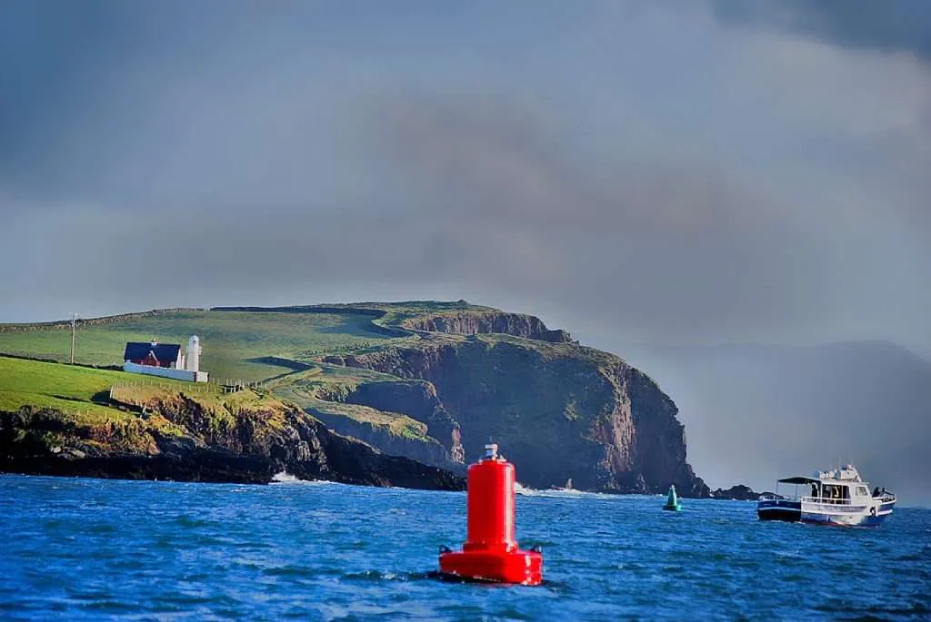 Ирландия, Dingle полуостров, Dingle and Fungie делфини