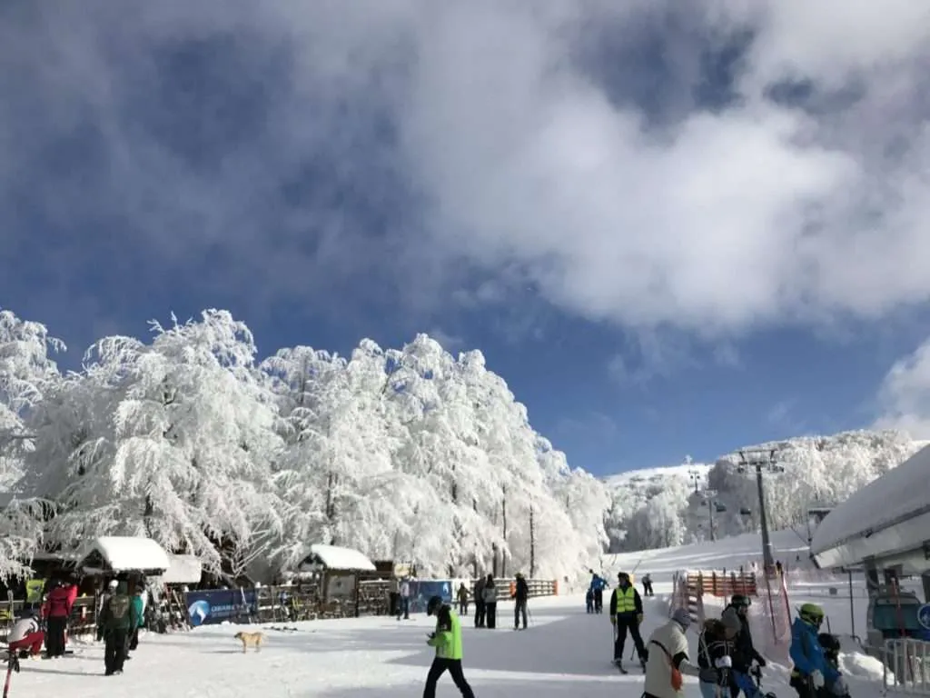 Serbia, Stara planina, winter ski resort Babin zub