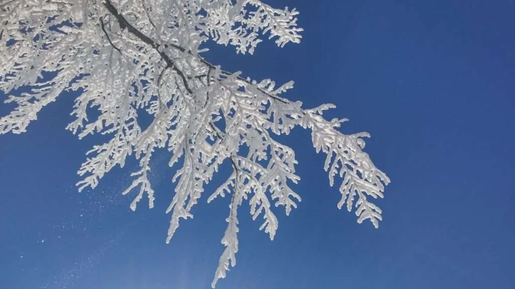 Serbia, Stara planina, winter ski resort Babin zub