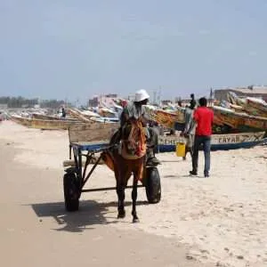 Carriage on the beach