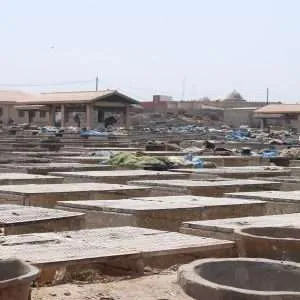 The fish drying facility