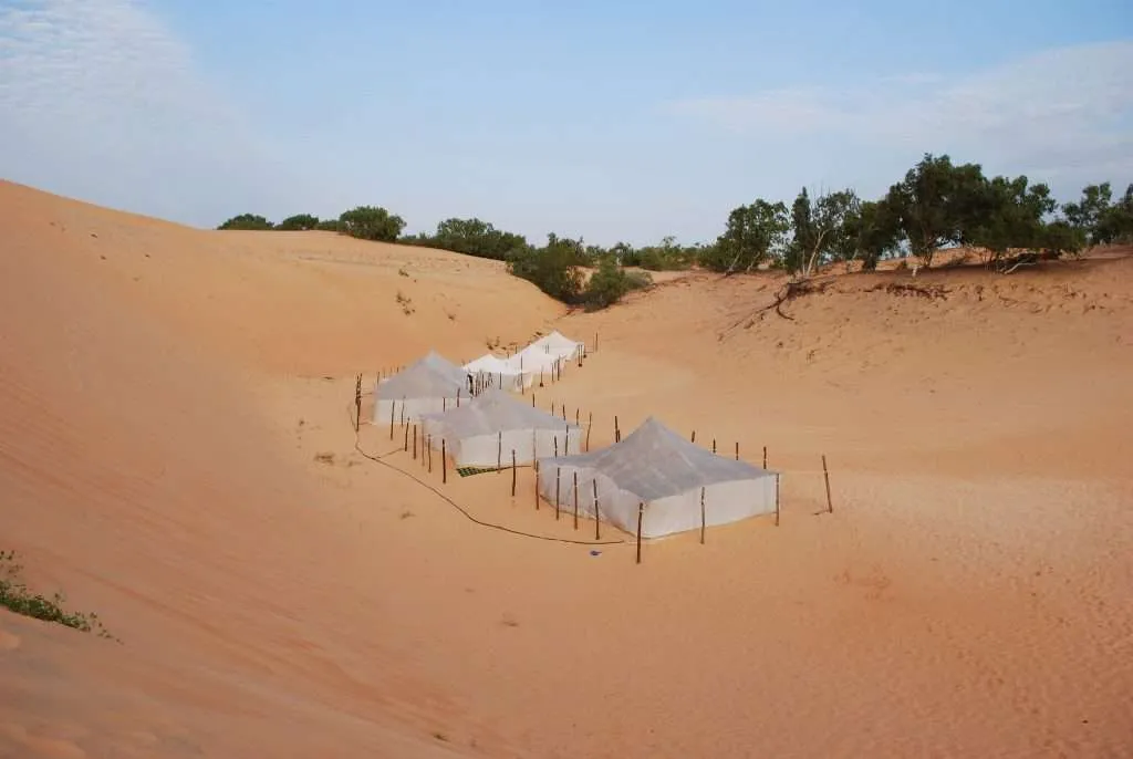 Senegal, Lompoul, desert, sand, dunes, tents, camels
