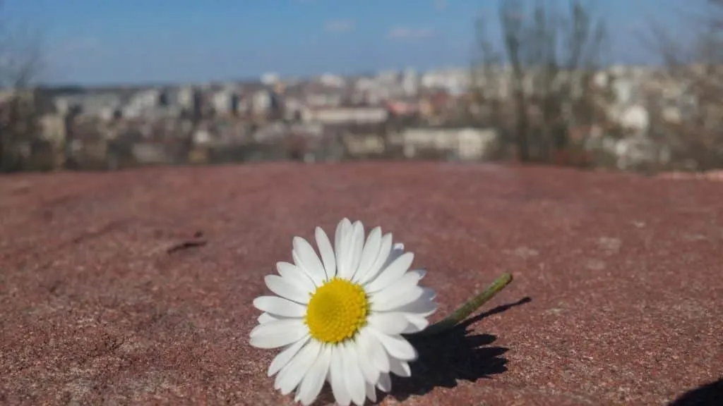 different points of view and spring in Haskovo, Bulgaria