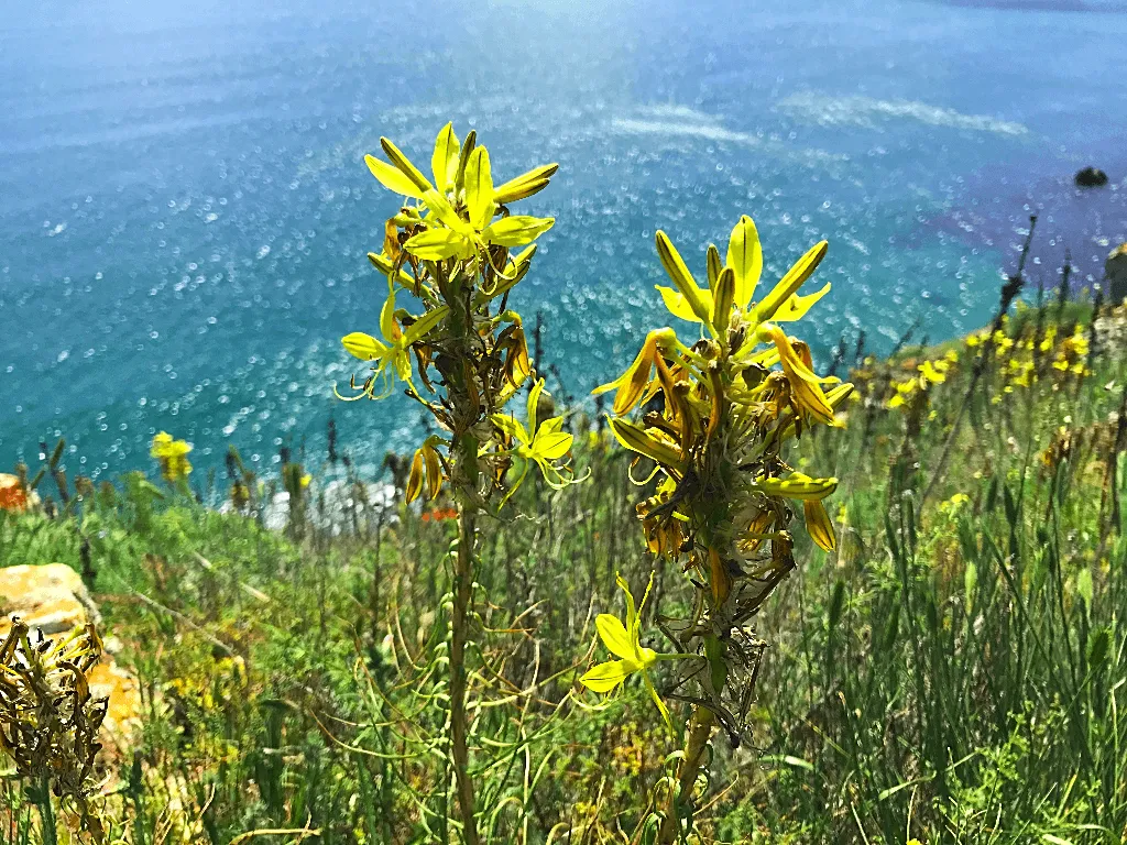 Traveling to Bulgaria, Tyulenovo, Kavarna - kayaking, boat trip, caves, walks, hiking, views, photography and hospitality, traditions in northern Black sea.
