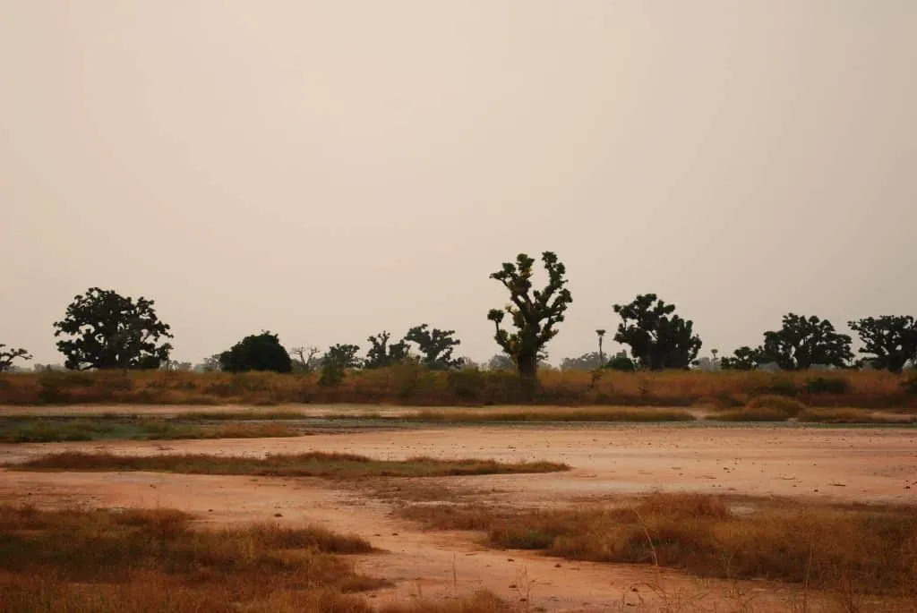 Travel to Senegal - Bandia reserve, big baobab tree, Shell island, Sally beaches