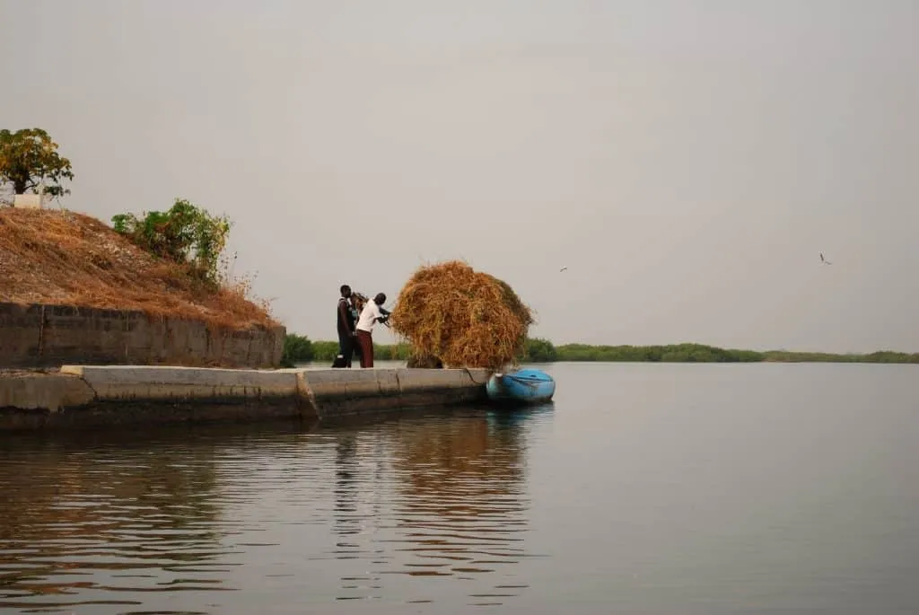 Travel to Senegal - Bandia reserve, big baobab tree, Shell island, Sally beaches