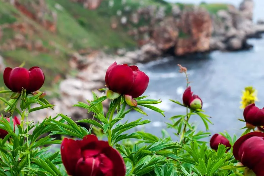 Traveling to Bulgaria, Yailata, Kavarna - kayaking, boat trip, caves, walks, hiking, views, photography and hospitality, traditions in northern Black sea.