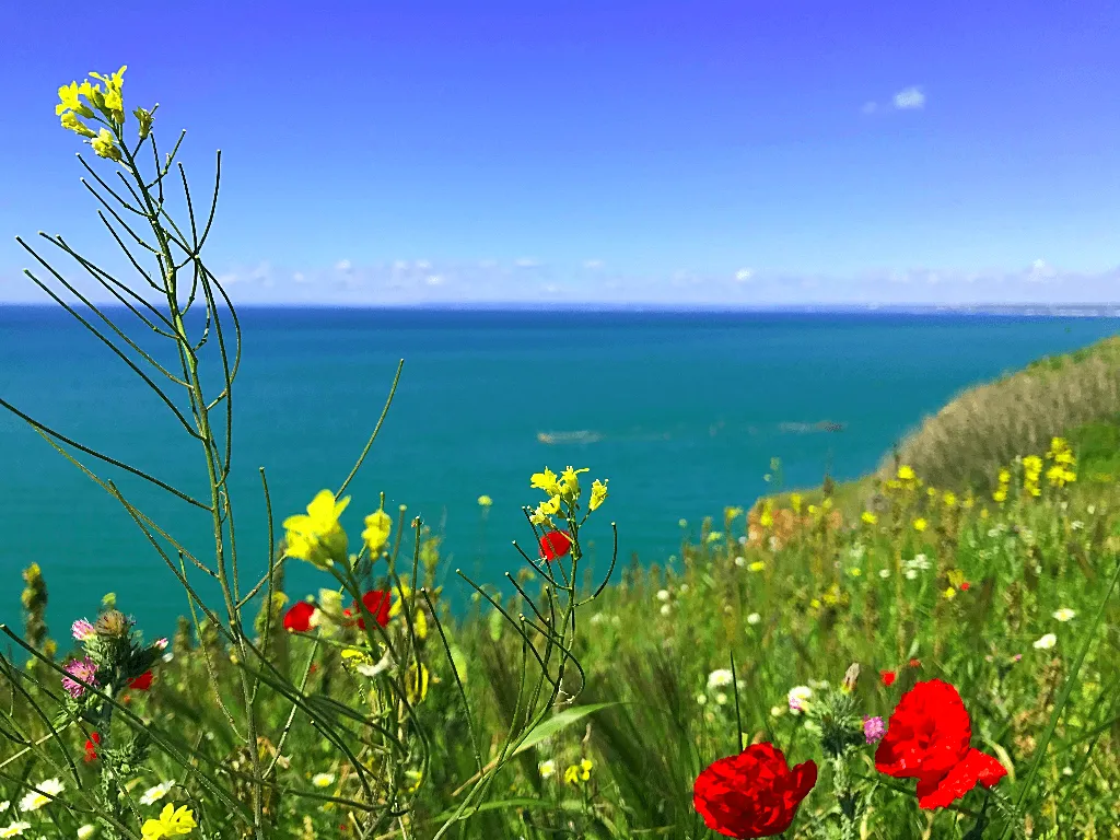 Traveling to Bulgaria, Tyulenovo, Kavarna - kayaking, boat trip, caves, walks, hiking, views, photography and hospitality, traditions in northern Black sea.