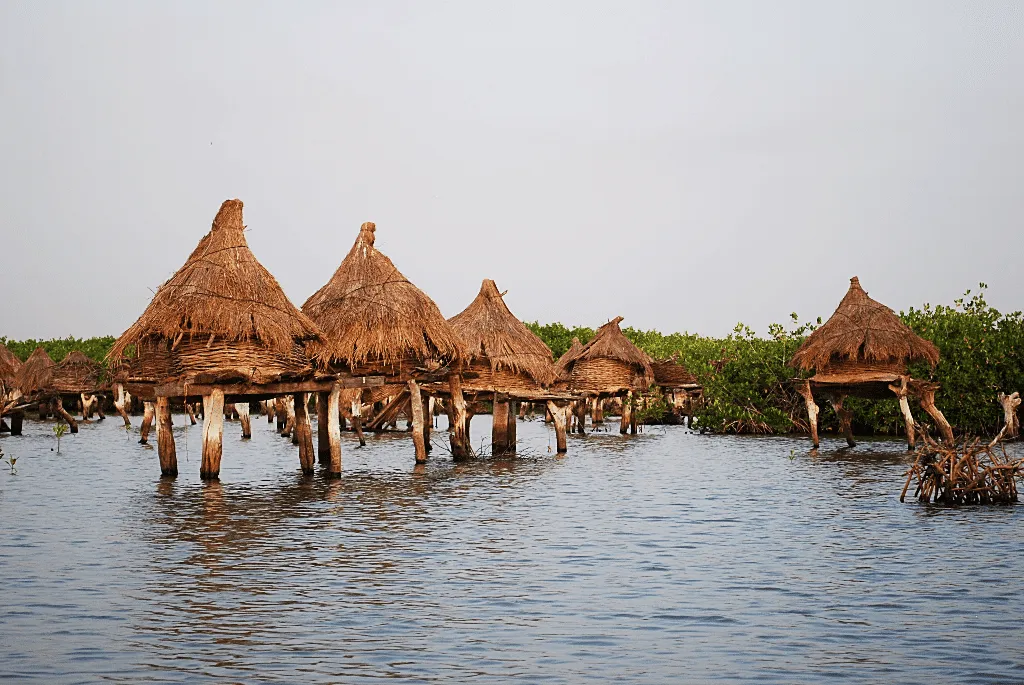 Travel to Senegal - Bandia reserve, big baobab tree, Shell island, Sally beaches