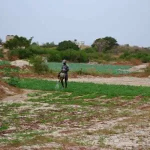 Travel to Senegal - Pink lake (Lac Rose), rally Dakar finish, off-road, Goree island, Dakar at night
