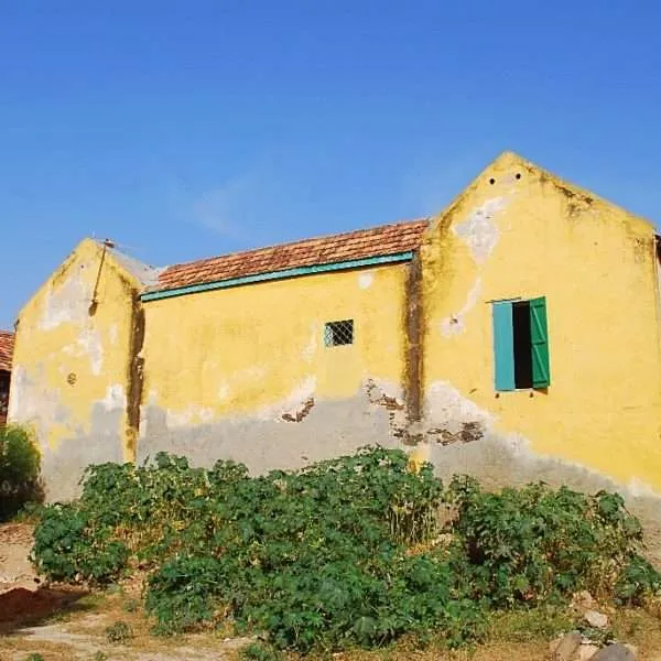 Travel to Senegal - Pink lake (Lac Rose), rally Dakar finish, off-road, Goree island, Dakar at night
