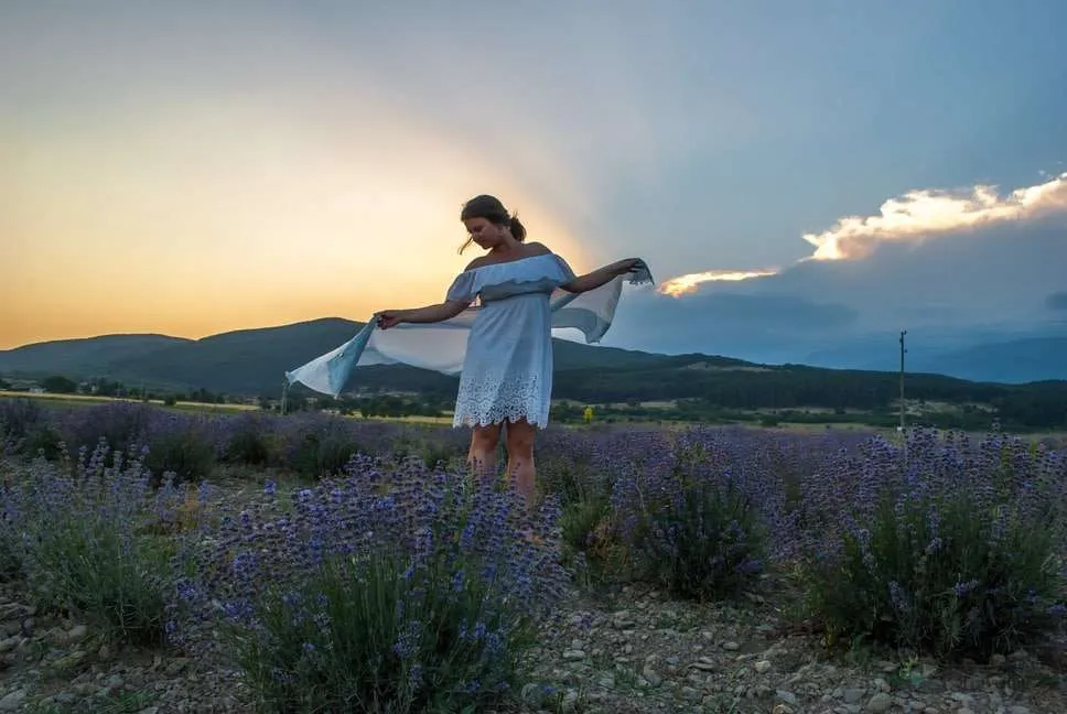 Lavender in Bulgaria - photography of lavender fields, barley